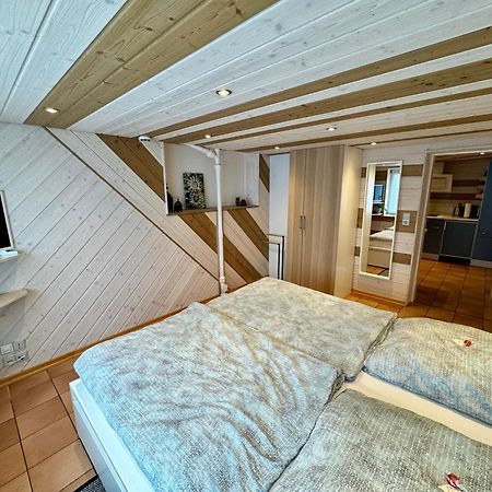 Schwabennestle - Ferienwohnung Albstadt-Onstmettingen Dış mekan fotoğraf
